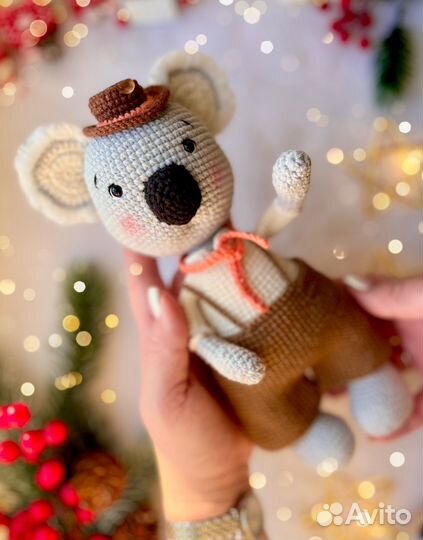 Мистер Коала