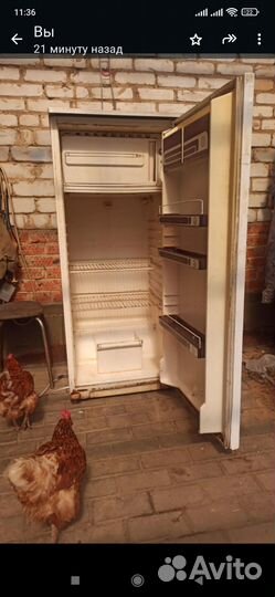 Холодильник