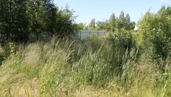 Участок 3,5 сот. (СНТ, ДНП)