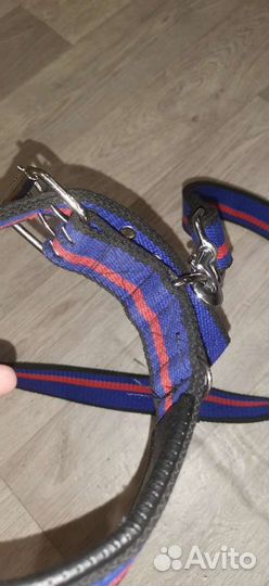 Ошейник и поводок