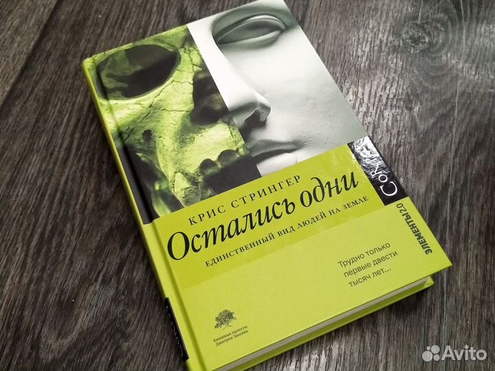 Крис Стрингер «Остались одни» Серия «Элементы 2.0»