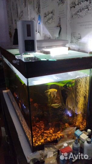 Аквариум