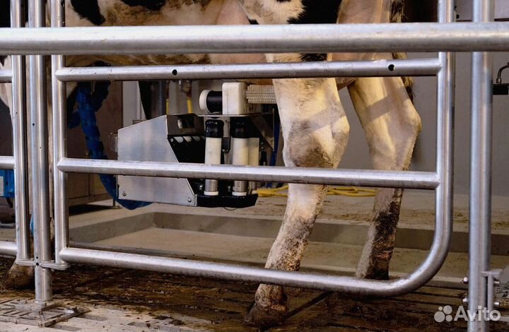 Доильный аппарат для крс