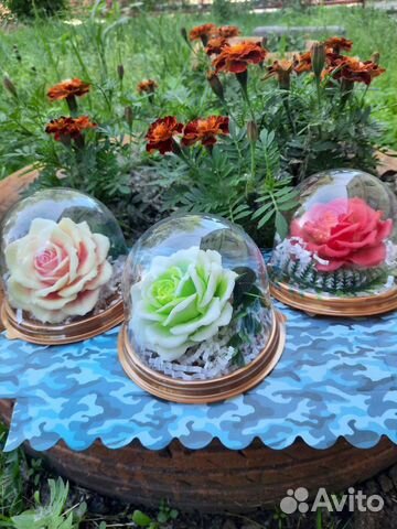 Роза в куполе