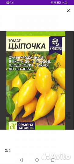 Рассада помидор Цыпочка