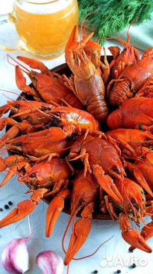 Живые и вареные раки