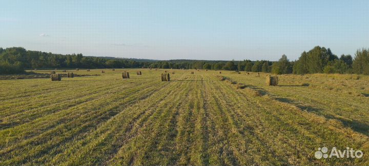 Сено в рулонах