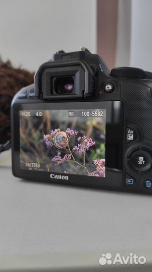 Фотоаппарат canon eos 100D