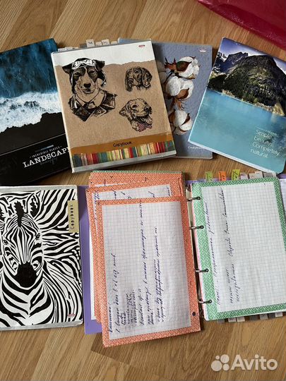 Конспекты (лекции)