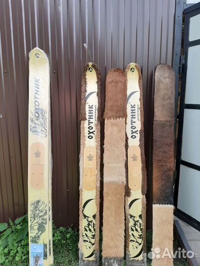 Лыжи охотничьи