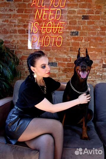 Фотограф, фотосессии