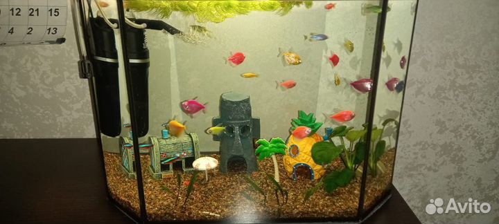 Аквариум с рыбками