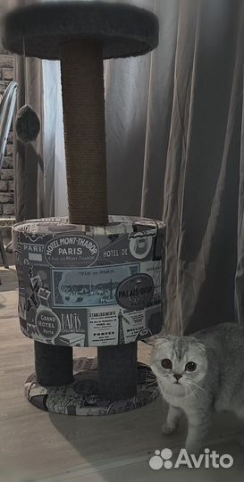 Домик для кошки с когтеточкой бу