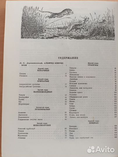 Брэм Жизнь животных 1ый том