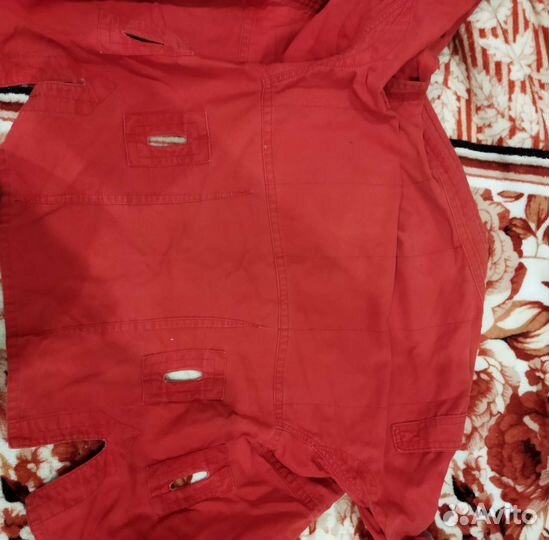 Самбовка крепышя