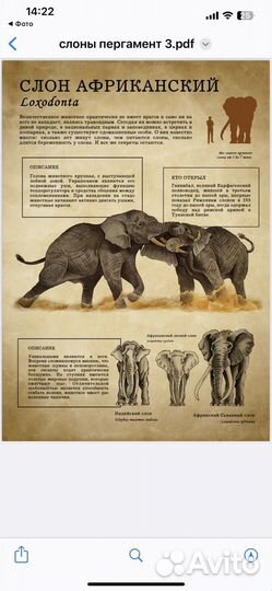 Обучающий материал для детей и их родителей