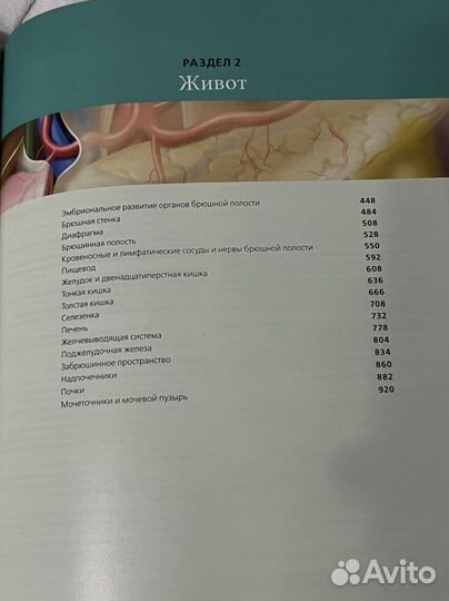 Лучевая анатомия. Грудь, живот, таз. Рентгенология