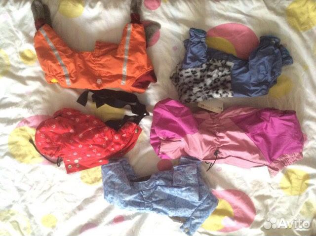 Одежда для Собаки