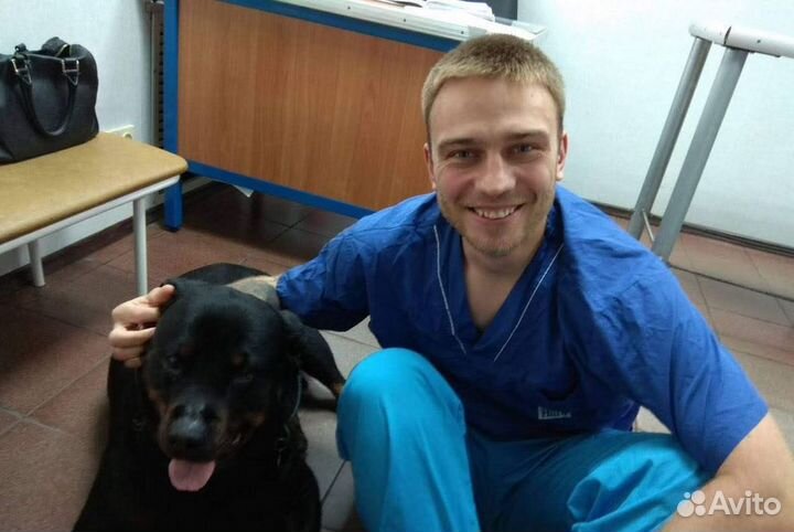 Ветеринарный врач с выездом