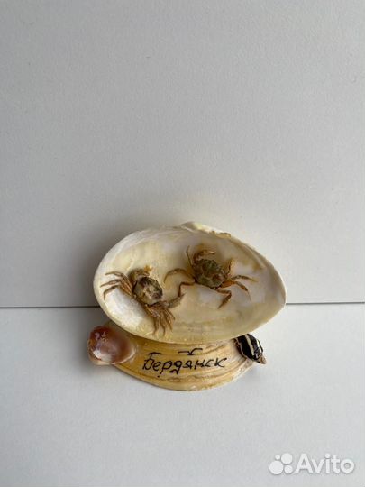 Сувенир из ракушек