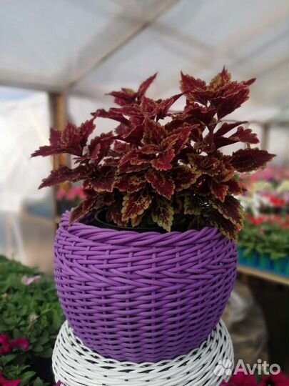 Кашпо из ротанга