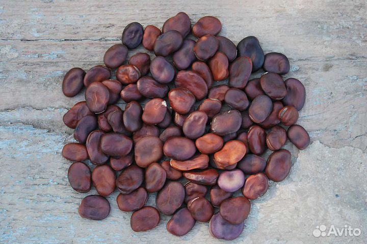 Семена редких бобовых