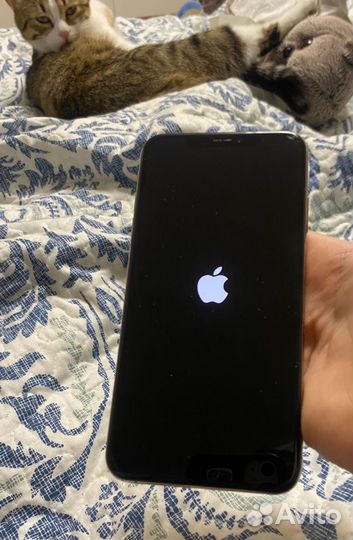 iPhone Xs Max, 512 ГБ