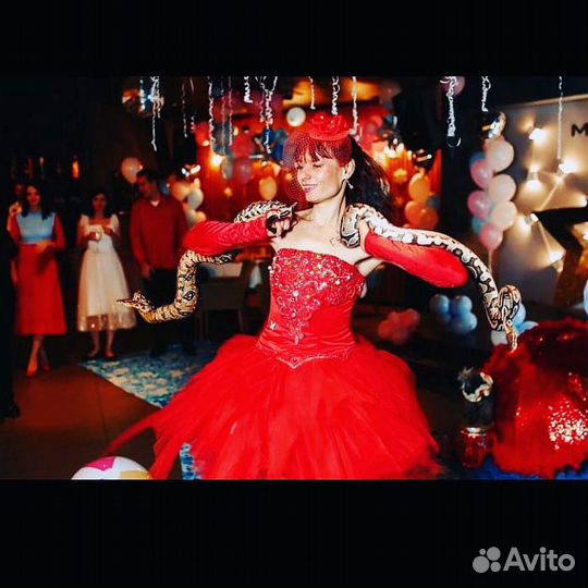 Артисты,аниматоры,шоу с животными,пудель-шоу,цирк