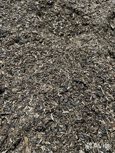 Отход семечки