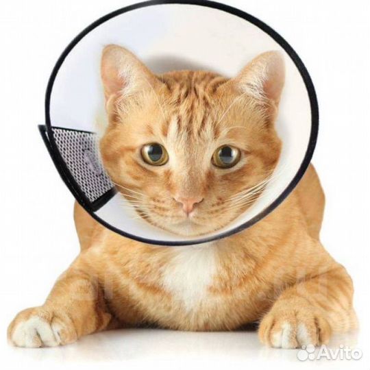 Воротник для кошки/мелкой собаки