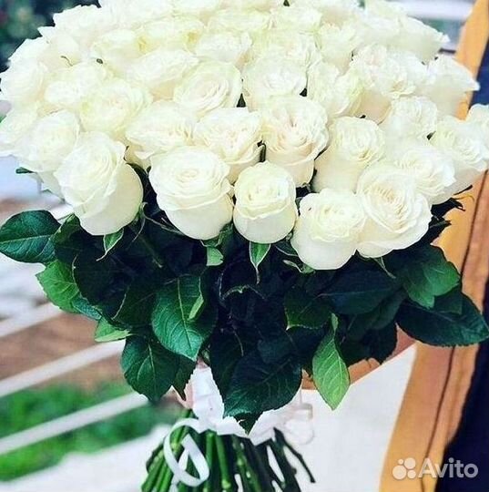 Метровые розы 110