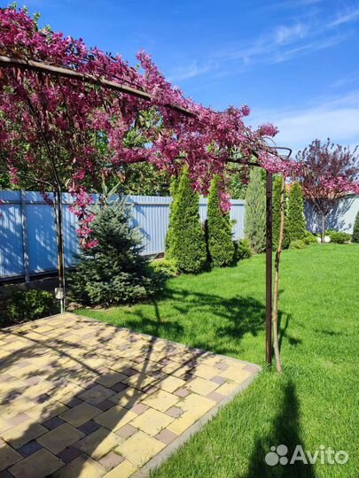 Ландшафтный дизайн. Автополив