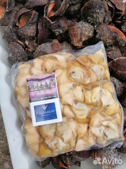 Камбала (калкан)