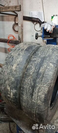 Toyo Tranpath MPZ 185/70 R14