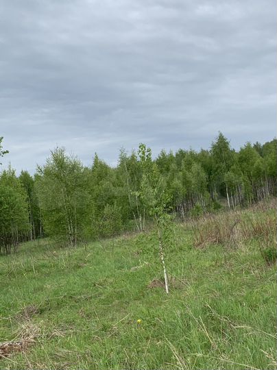 Участок 6,59 га (СНТ, ДНП)