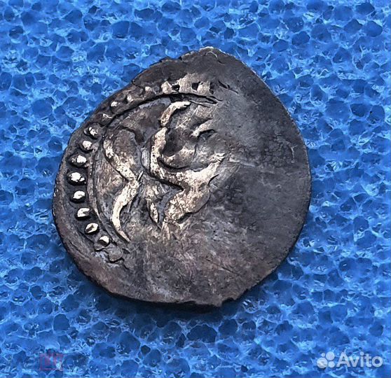 Чешуя неописанная денга вд найдена Нижегородская о