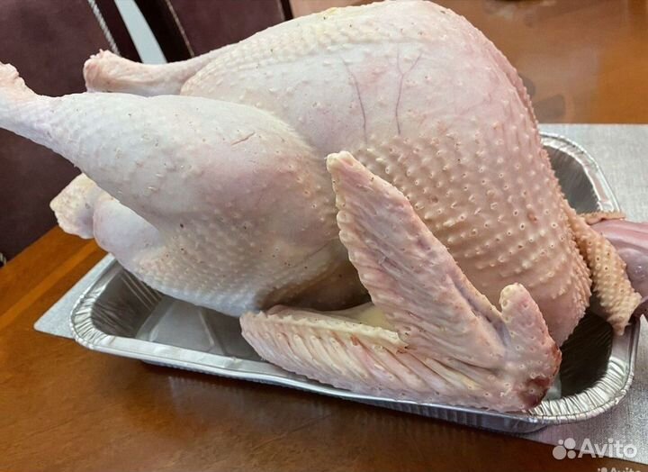 Мясо домашней индейки