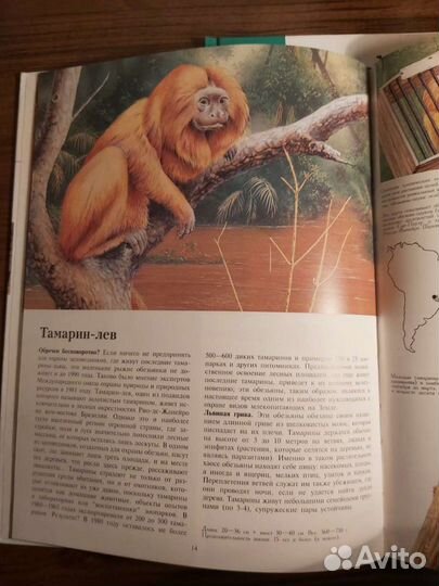 Энциклопедии.Тайная жизнь животных(комплект из 3 к