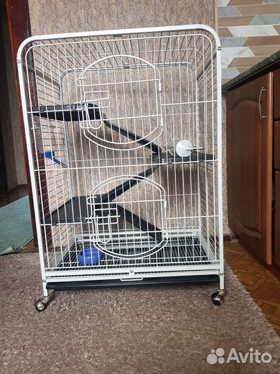 Клетка для грызунов очень большая