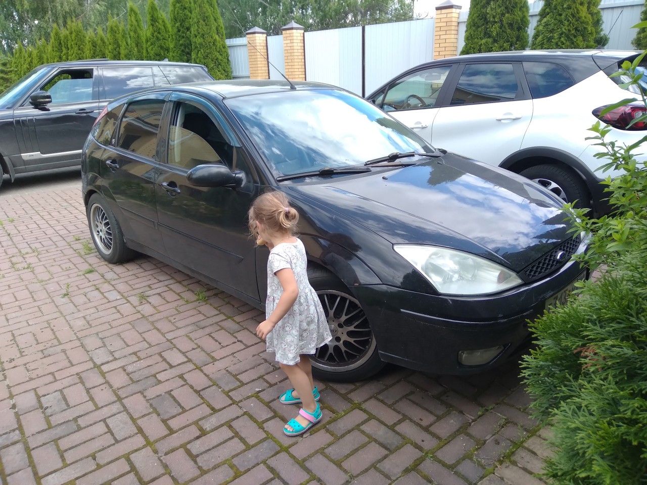 Ford Focus: фото владельца