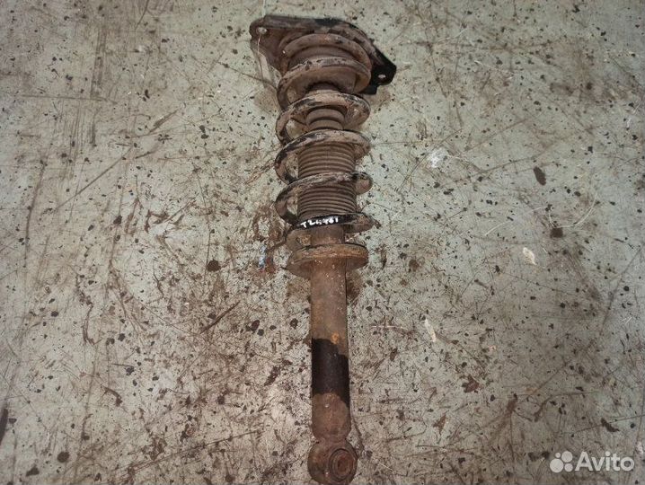 Стойка подвески задняя Nissan Primera P12 лифтбек