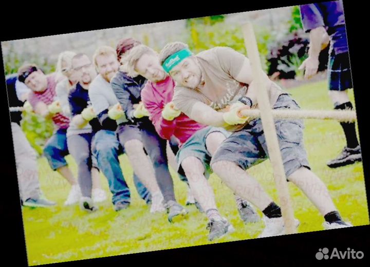 Сборщик электрического и электронного оборудования