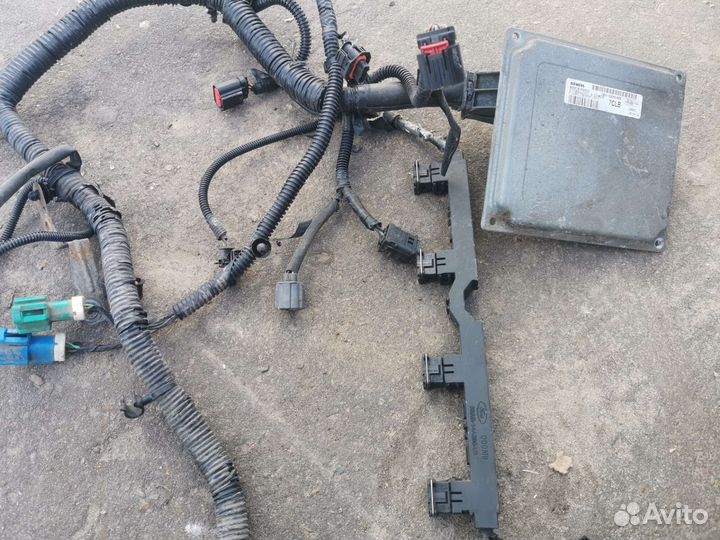 Моторная коса Ford Focus 2 1.6 115 л.с