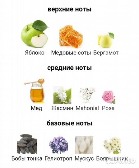 Trussardi Limitless shopping via della spiga 100ml