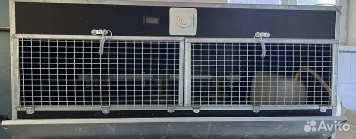 Брудер для цыплят