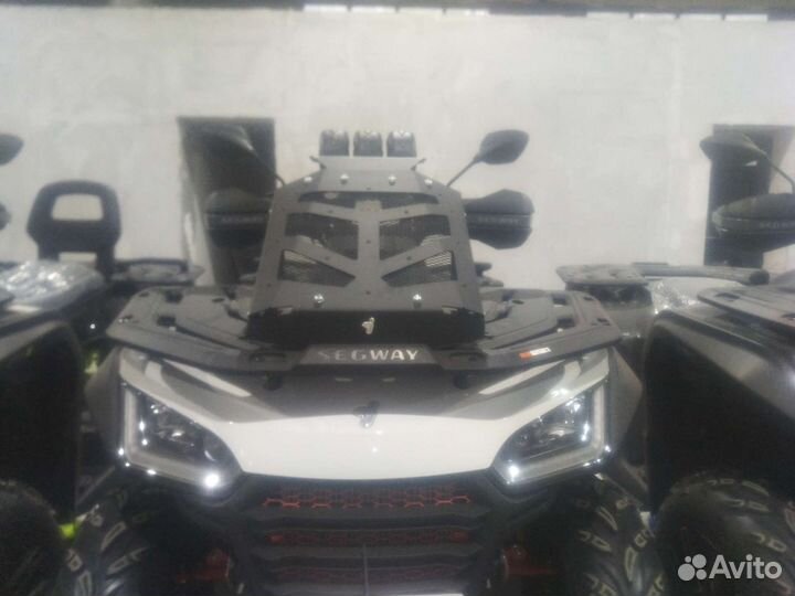 Вынос радиатора с шноркелями segway Snarler