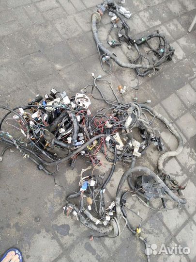 Проводка Ниссан примера п12/р12 QR25 вариатор