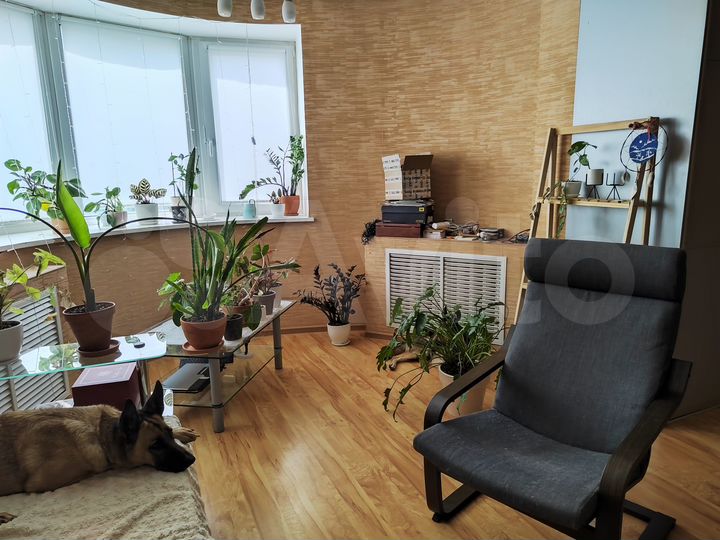 1-к. квартира, 46,8 м², 3/12 эт.