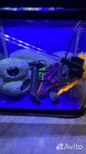 Аквариум для рыбок маленький