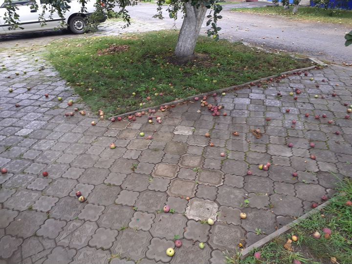 Дом 93 м² на участке 15 сот.